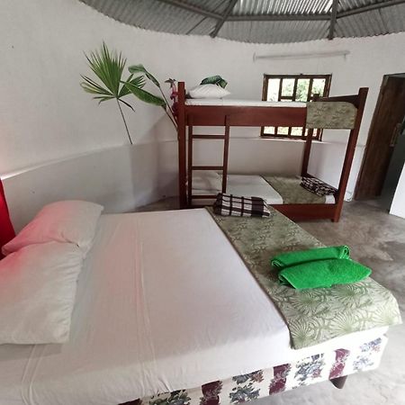 Great Hostels Amazon Puyo Kültér fotó