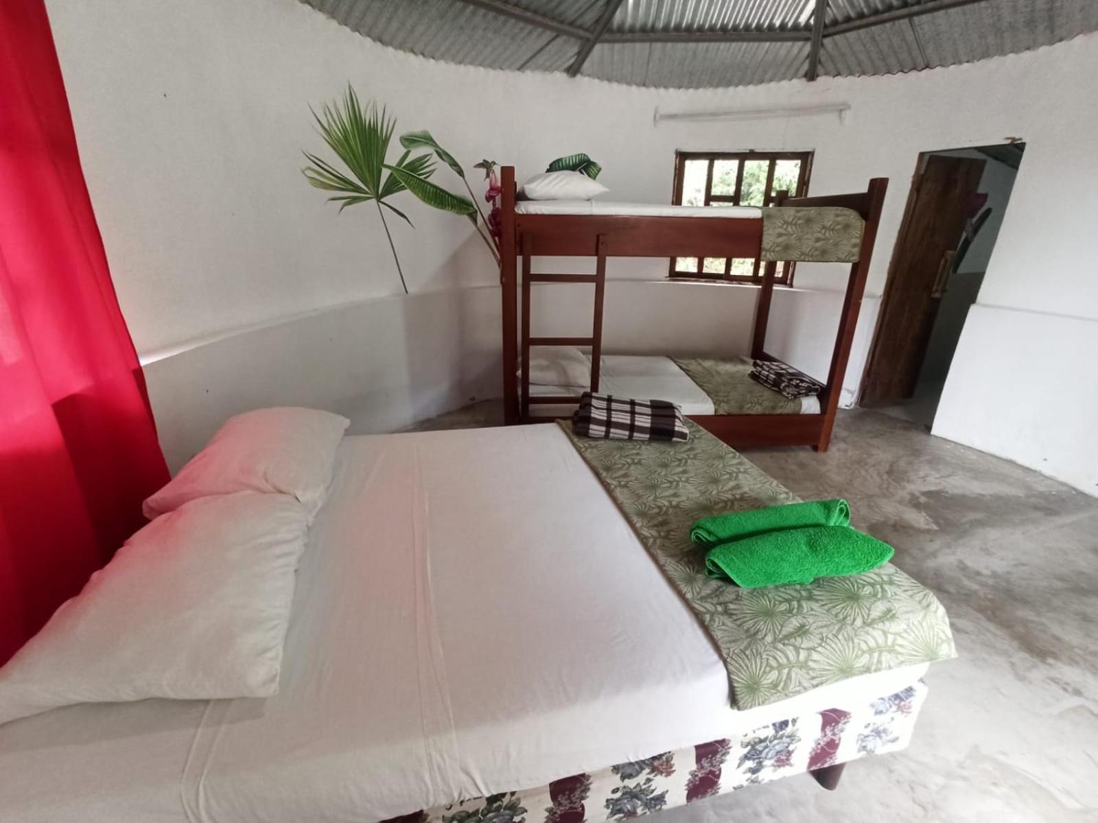 Great Hostels Amazon Puyo Kültér fotó
