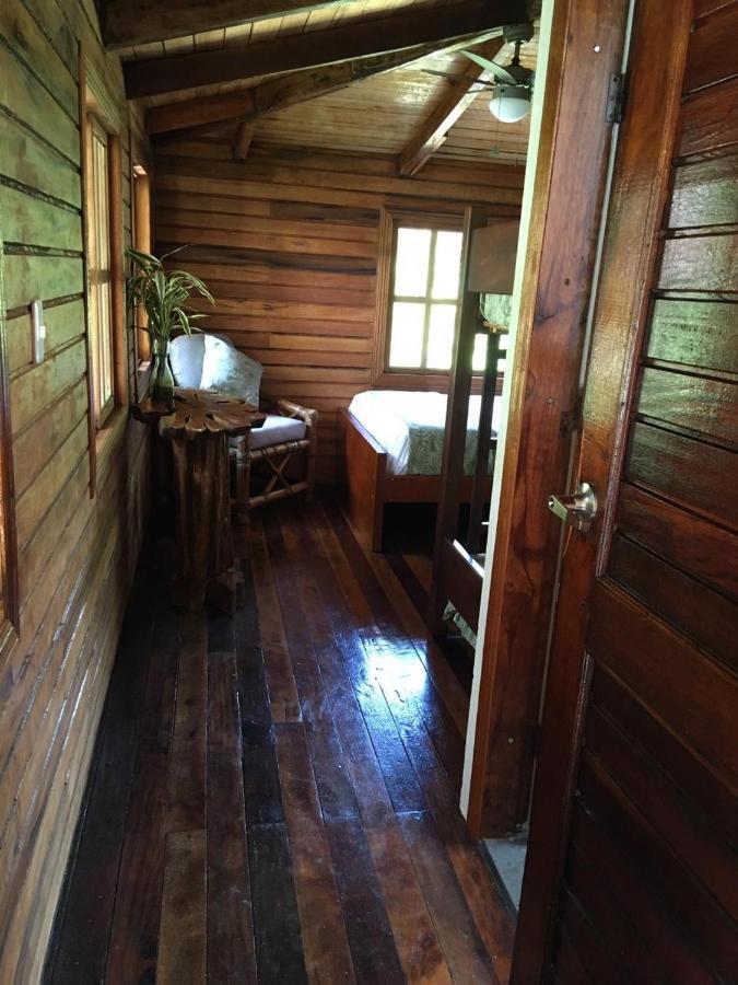 Great Hostels Amazon Puyo Kültér fotó