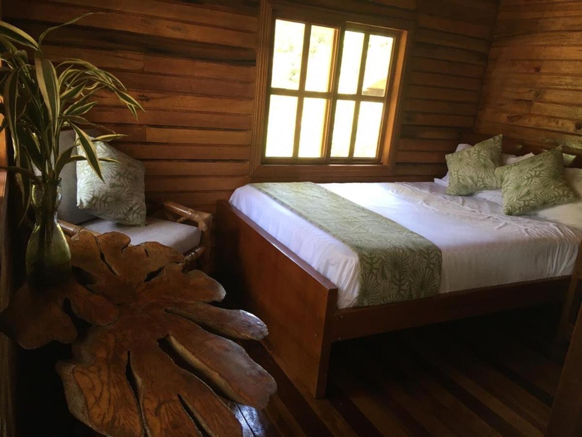 Great Hostels Amazon Puyo Kültér fotó